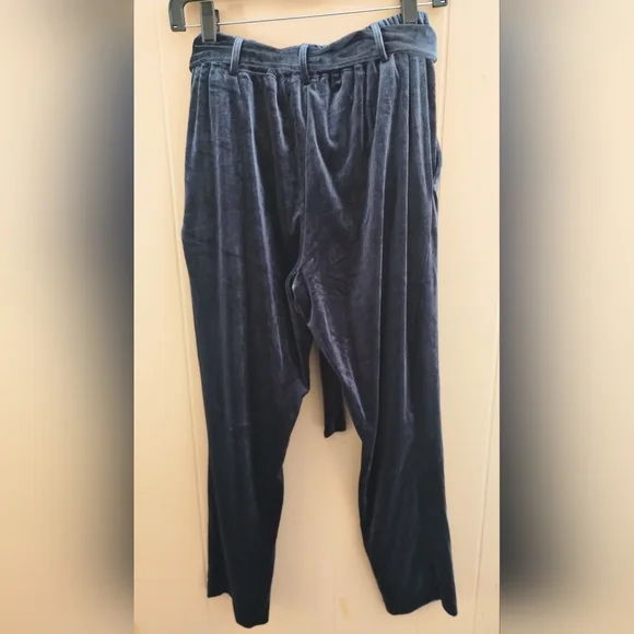 Jules & Leopold Midnight Blue Velvet Pants With Pockets And Tie Belt Size Small - Picture 5 of 10